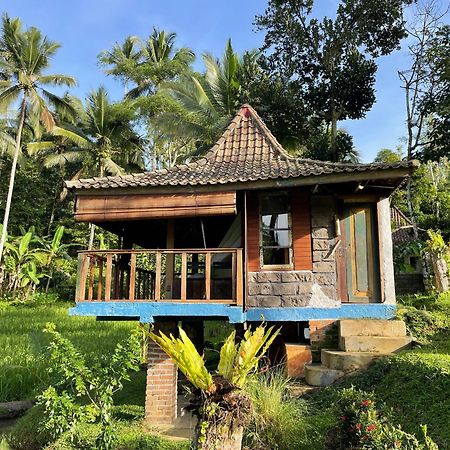 Oemah Tepi Sawah Villa Jatiluwih Exterior photo