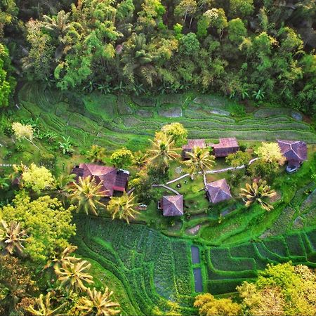 Oemah Tepi Sawah Villa Jatiluwih Exterior photo