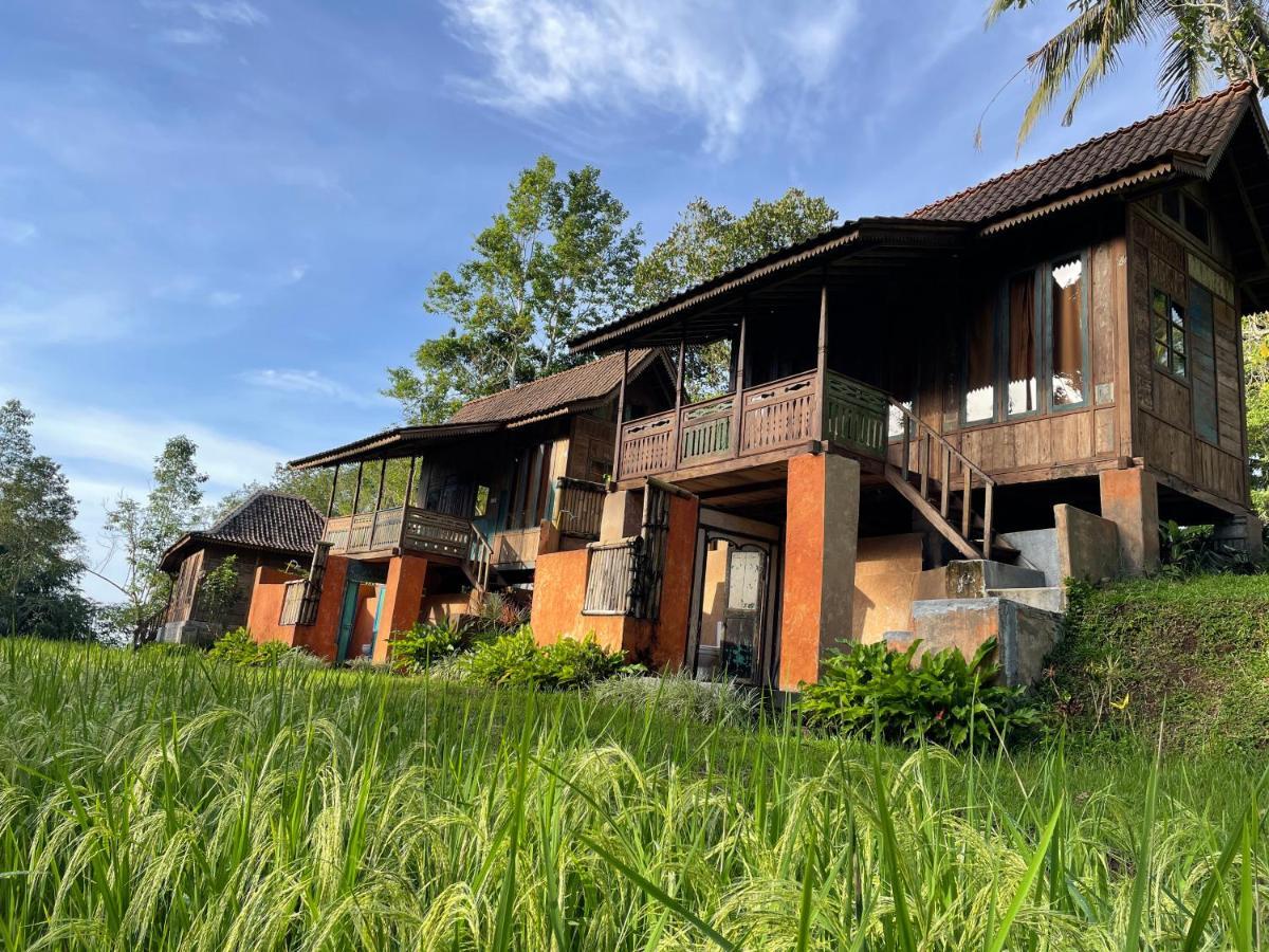 Oemah Tepi Sawah Villa Jatiluwih Exterior photo