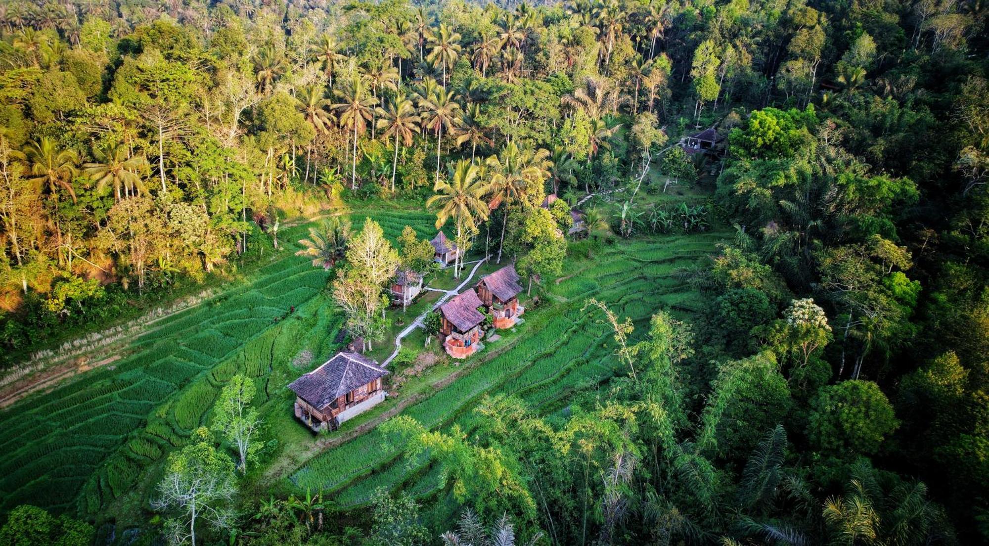 Oemah Tepi Sawah Villa Jatiluwih Exterior photo