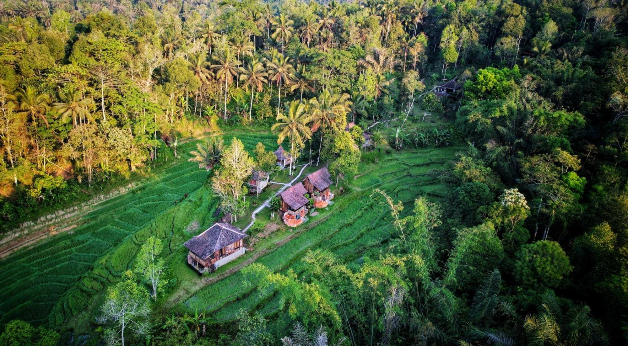 Oemah Tepi Sawah Villa Jatiluwih Exterior photo