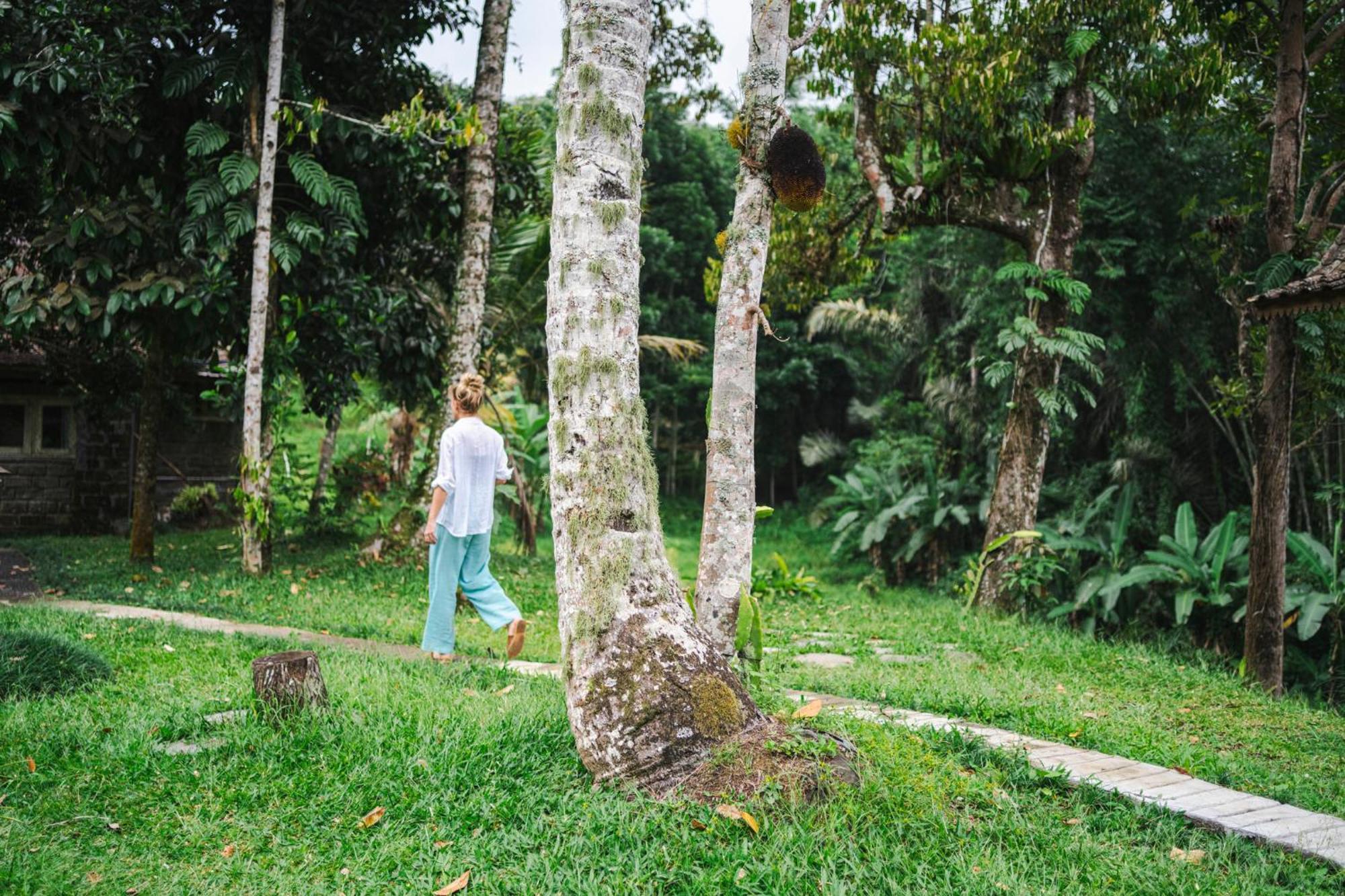 Oemah Tepi Sawah Villa Jatiluwih Exterior photo